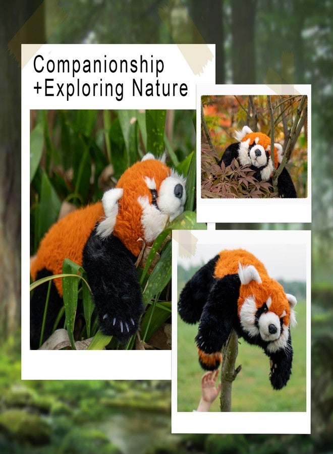Chongker Cute Red Panda Plush Toy, Weighted Stuffed Animals, Red Panda Plush Animals Collection, Handmade Like Real, Large Size Stuffed Animals - Image 4